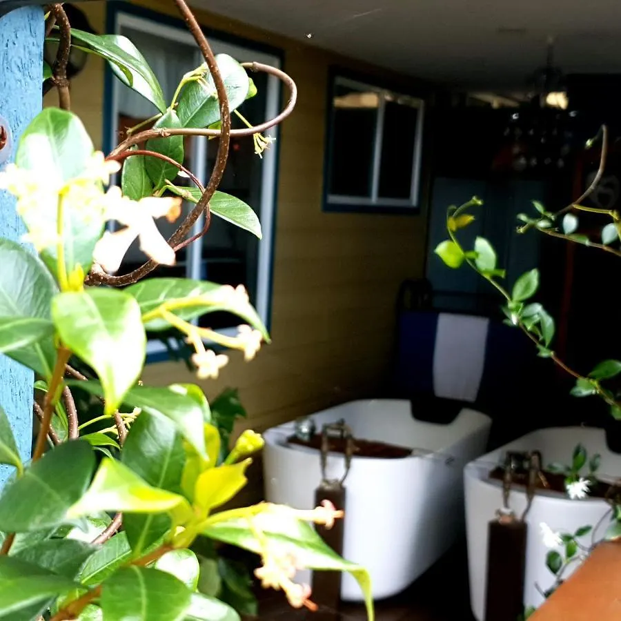 Apartment Misty Valley Homestayz Mapleton Australia